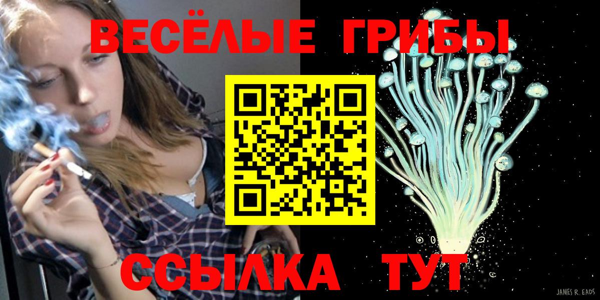 Галлюциногенные грибы MAGIC MUSHROOMS Саратов